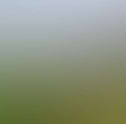 Little Sunrise Little Sunrise Photos