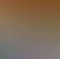 Zen Forest Cabin Zen Forest Cabin Photos