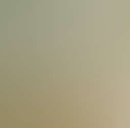 Rajgad Vista Rajgad Vista Photos