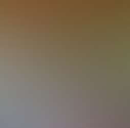 Zen Forest Cabin Zen Forest Cabin Photos