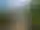 Windchime Homestay — Outdoor 7