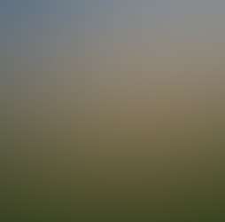 Rajgad Vista Rajgad Vista Photos