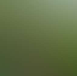 Zen Forest Cabin Zen Forest Cabin Photos