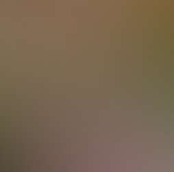 Zen Forest Cabin Zen Forest Cabin Photos