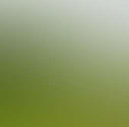 Little Sunrise Little Sunrise Photos