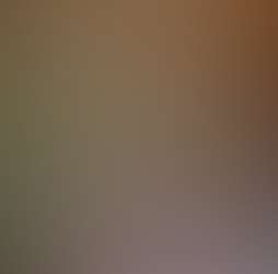 Zen Forest Cabin Zen Forest Cabin Photos