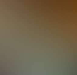 Zen Forest Cabin Zen Forest Cabin Photos