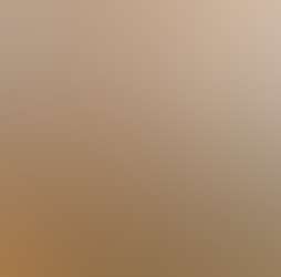 Rajgad Vista Rajgad Vista Photos