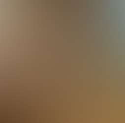 Zen Forest Cabin Zen Forest Cabin Photos