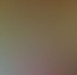 Zen Forest Cabin Zen Forest Cabin Photos