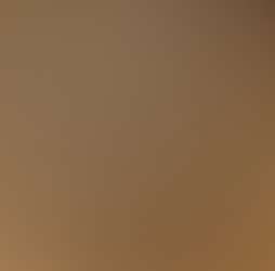 Zen Forest Cabin Zen Forest Cabin Photos