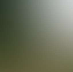 Rajgad Vista Rajgad Vista Photos