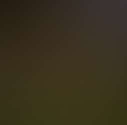 Evergreen Cascade Evergreen Cascade Photos