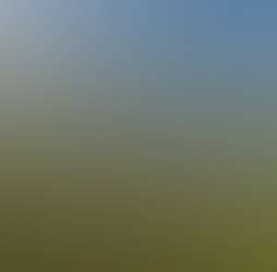 Rajgad Vista Rajgad Vista Photos