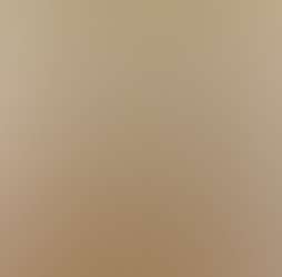 Rajgad Vista Rajgad Vista Photos