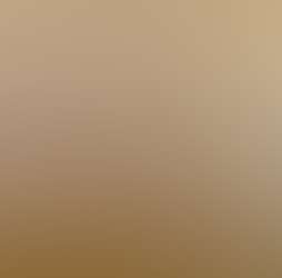 Rajgad Vista Rajgad Vista Photos