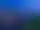 Rajgad Vista — Others 2
