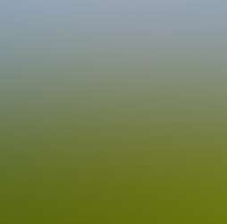 Rajgad Vista Rajgad Vista Photos