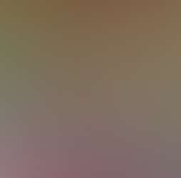 Zen Forest Cabin Zen Forest Cabin Photos