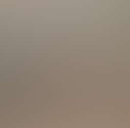 Little Sunrise Little Sunrise Photos