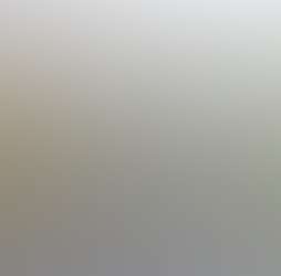 Little Sunrise Little Sunrise Photos