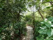 Zen Forest Cabin - One Earth Retreat photo 5