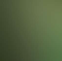 Zen Forest Cabin Zen Forest Cabin Photos