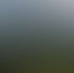 Rajgad Vista Rajgad Vista Photos