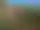 Birdsong Cottage — Cover Photo 1