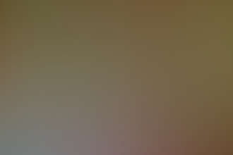 Zen Forest Cabin Photos 