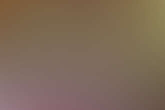 Zen Forest Cabin Photos 