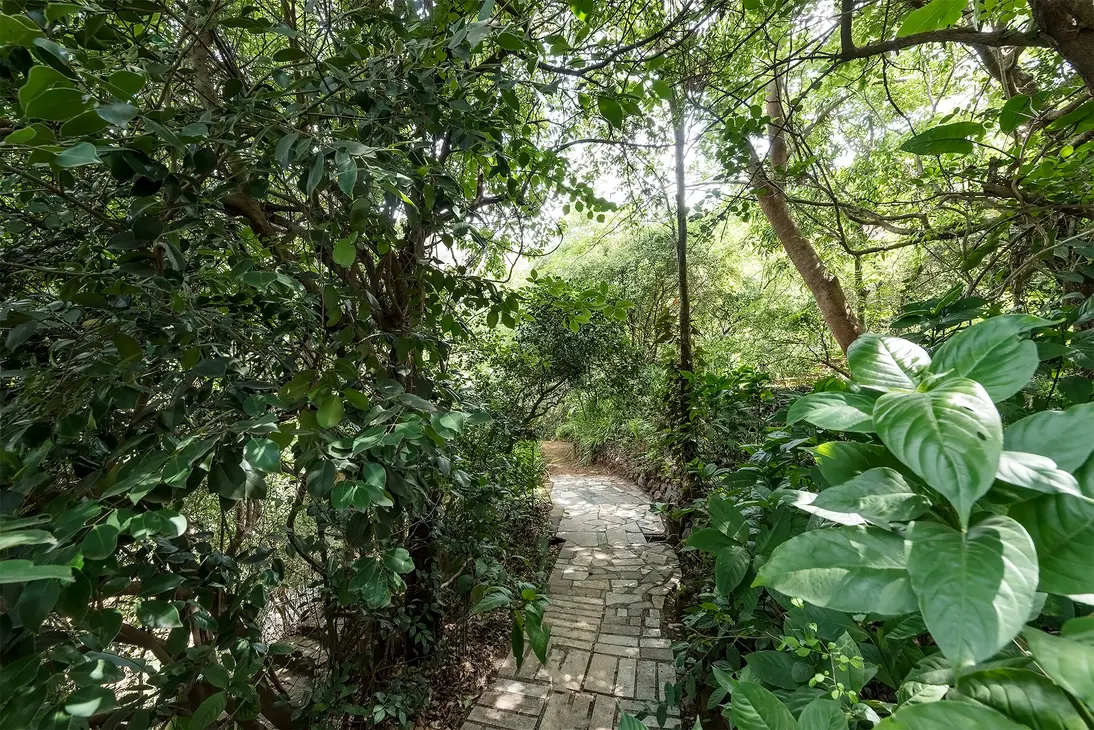 Zen Forest Cabin Photos 