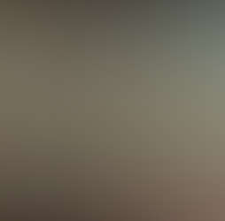 Birdsong Cottage Photos 