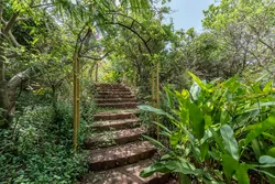 Zen Forest Cabin Photos 