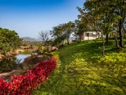 The Lazy River Cottage - Stargazer's Paradise photo 1