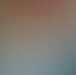 Birdsong Cottage Photos 