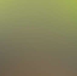 Joshet Farmstay Photos 