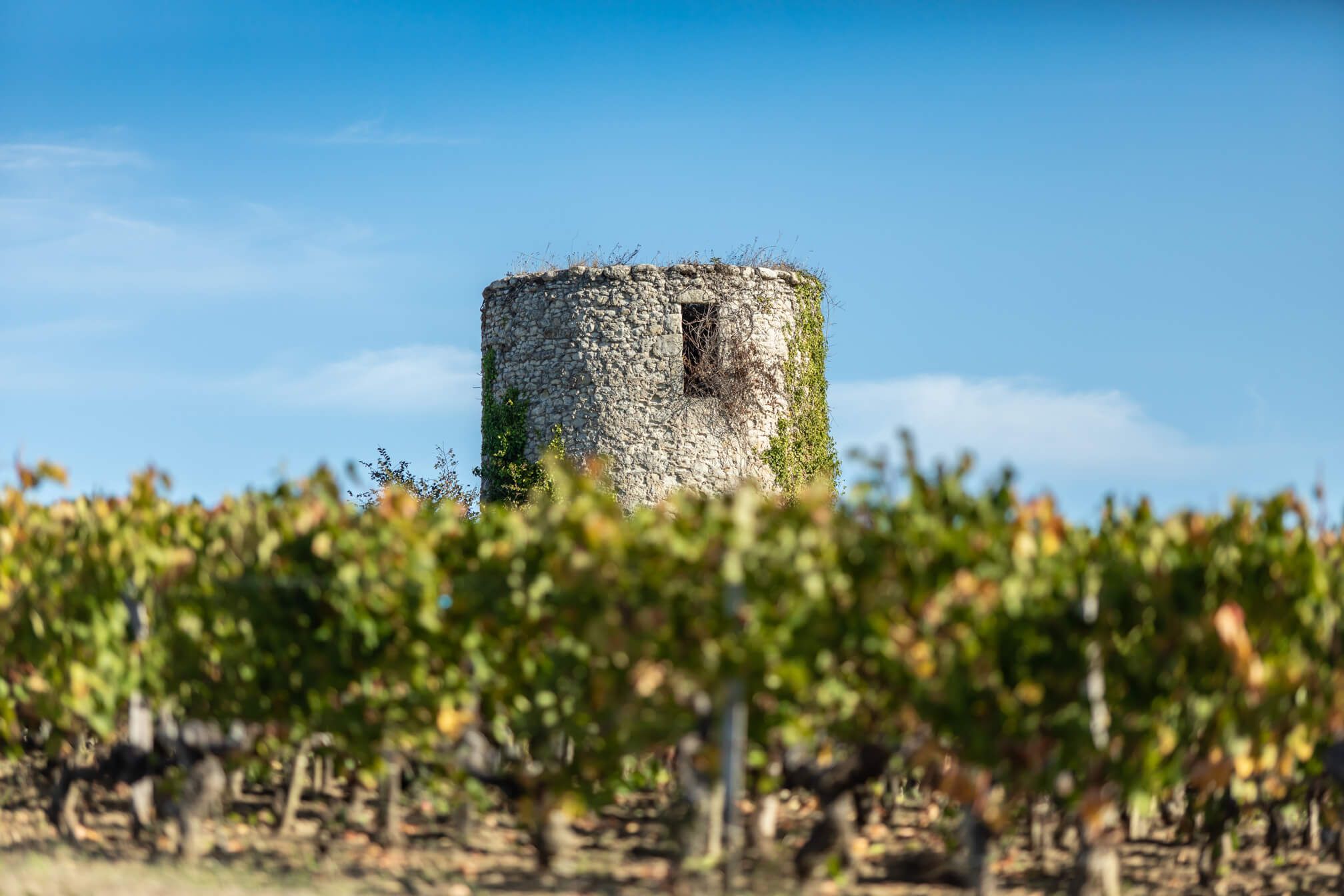 Accueil - Domaine Jean-Christophe Coubris