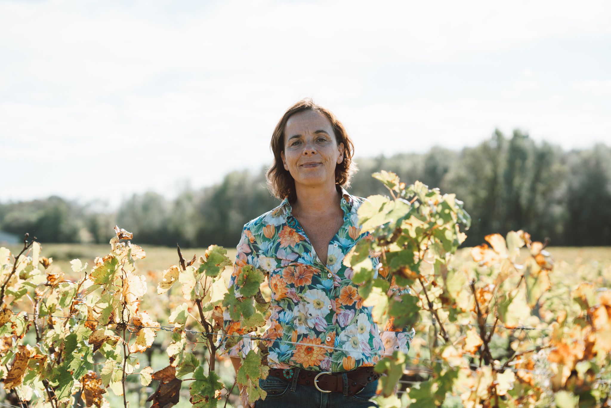 L’histoire - Domaine Jean-Christophe Coubris