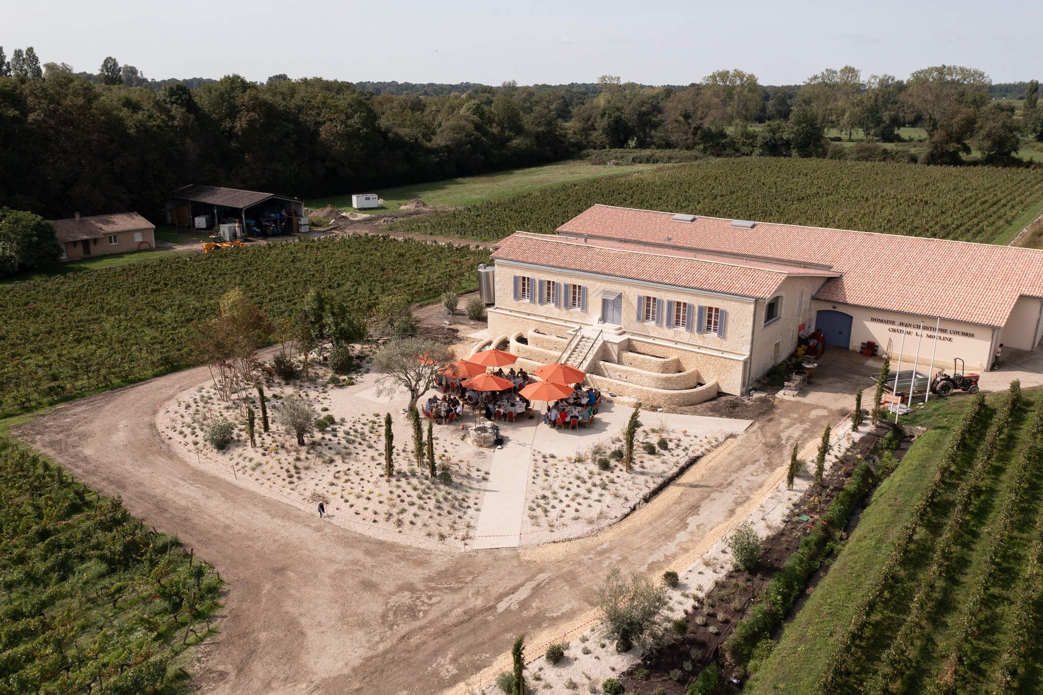 The vineyard - Domaine Jean Christophe Coubris