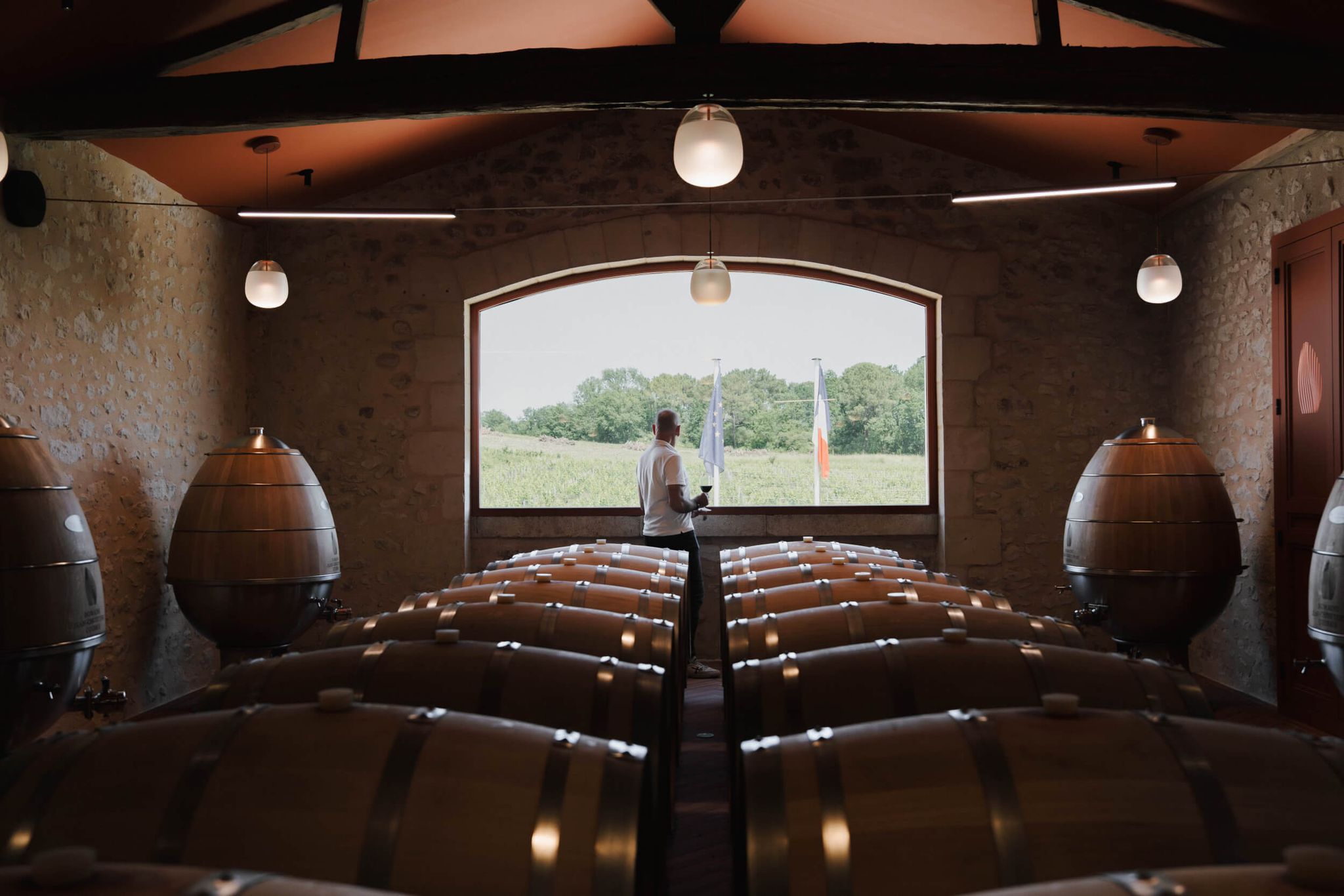The vineyard - Domaine Jean Christophe Coubris