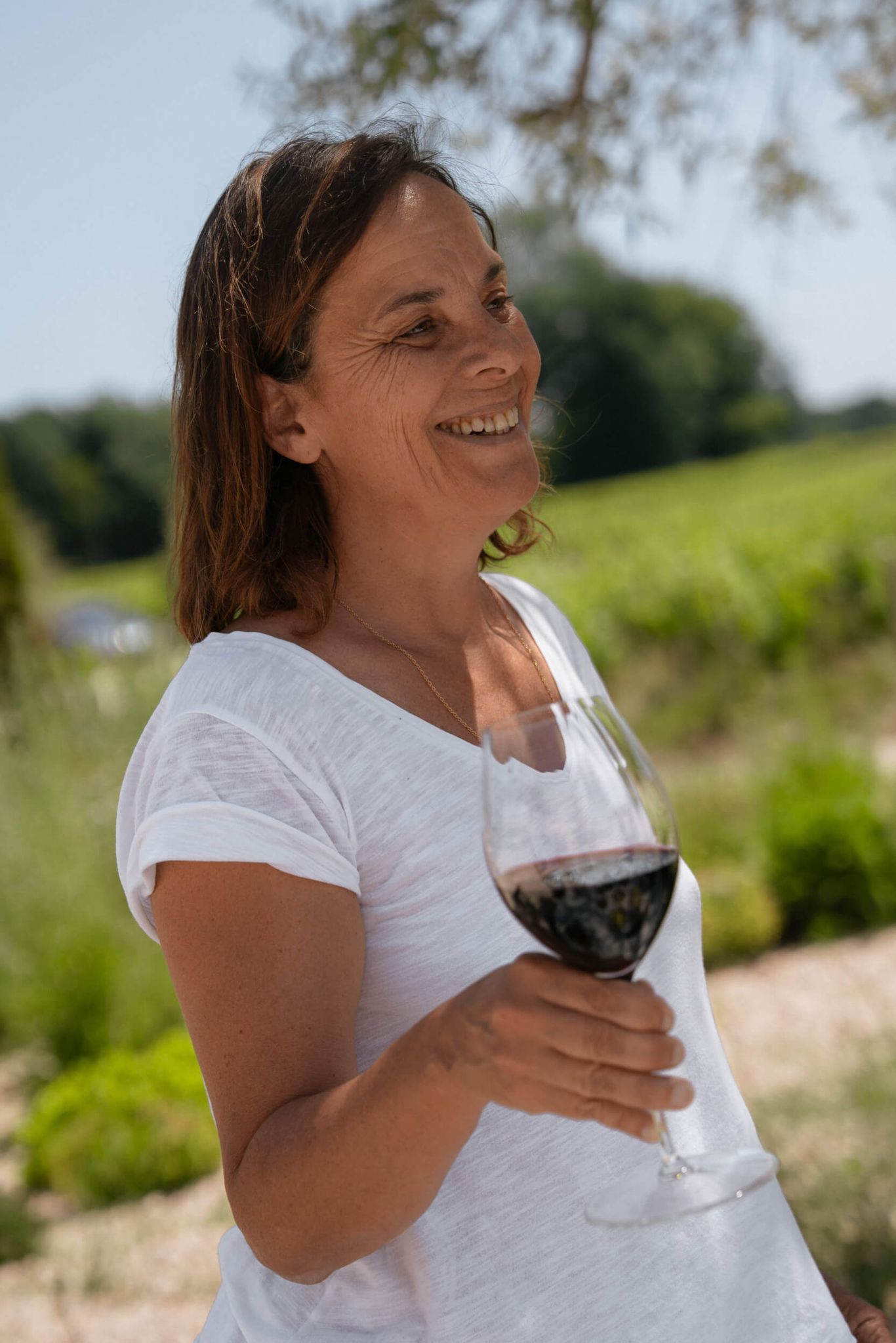 L&rsquo;histoire - Domaine Jean-Christophe Coubris