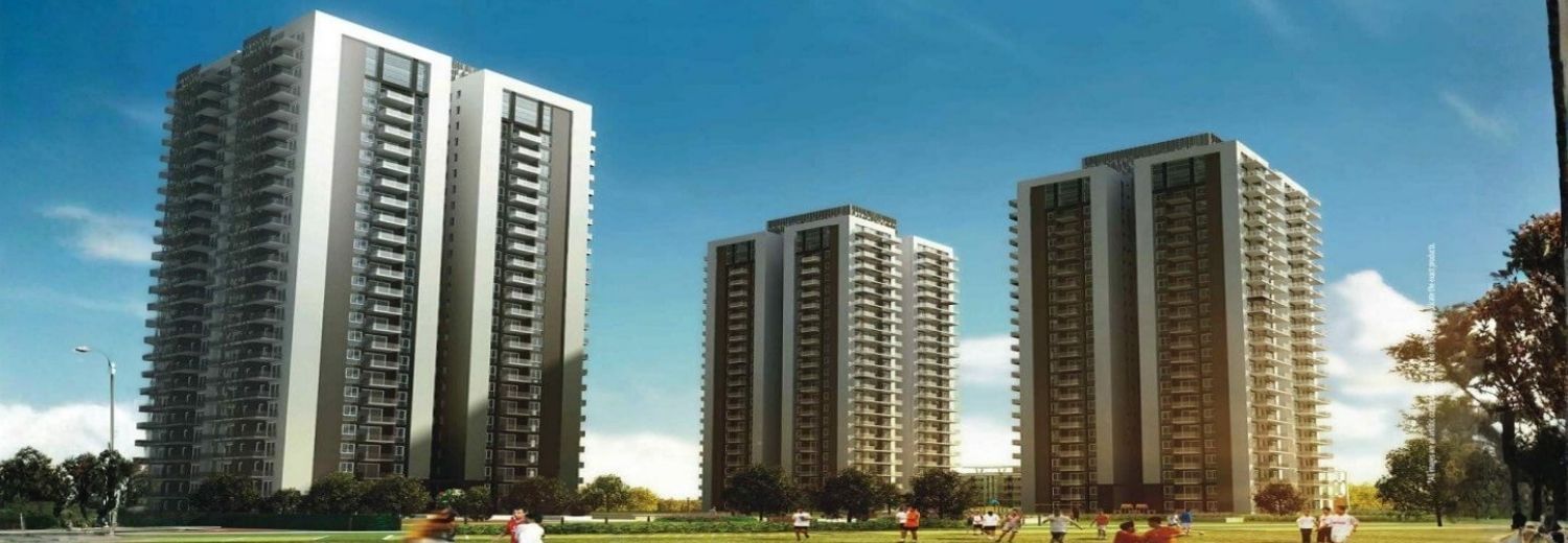 Conscient Heritage One