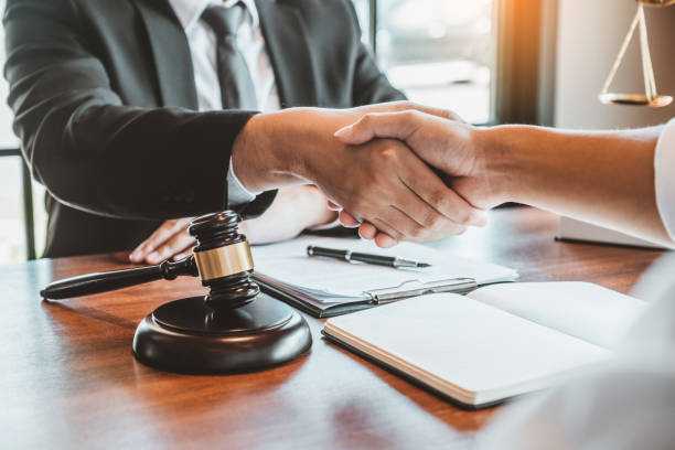 Litigation Services