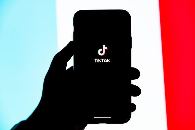 TikTok User Demographics