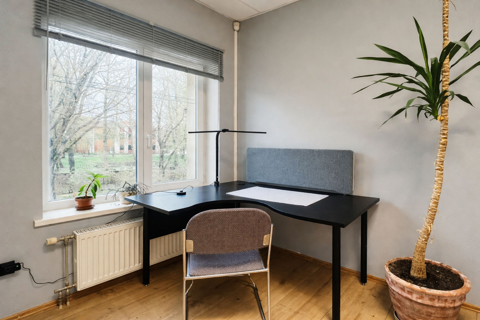 Coworking telpa Jelgavā