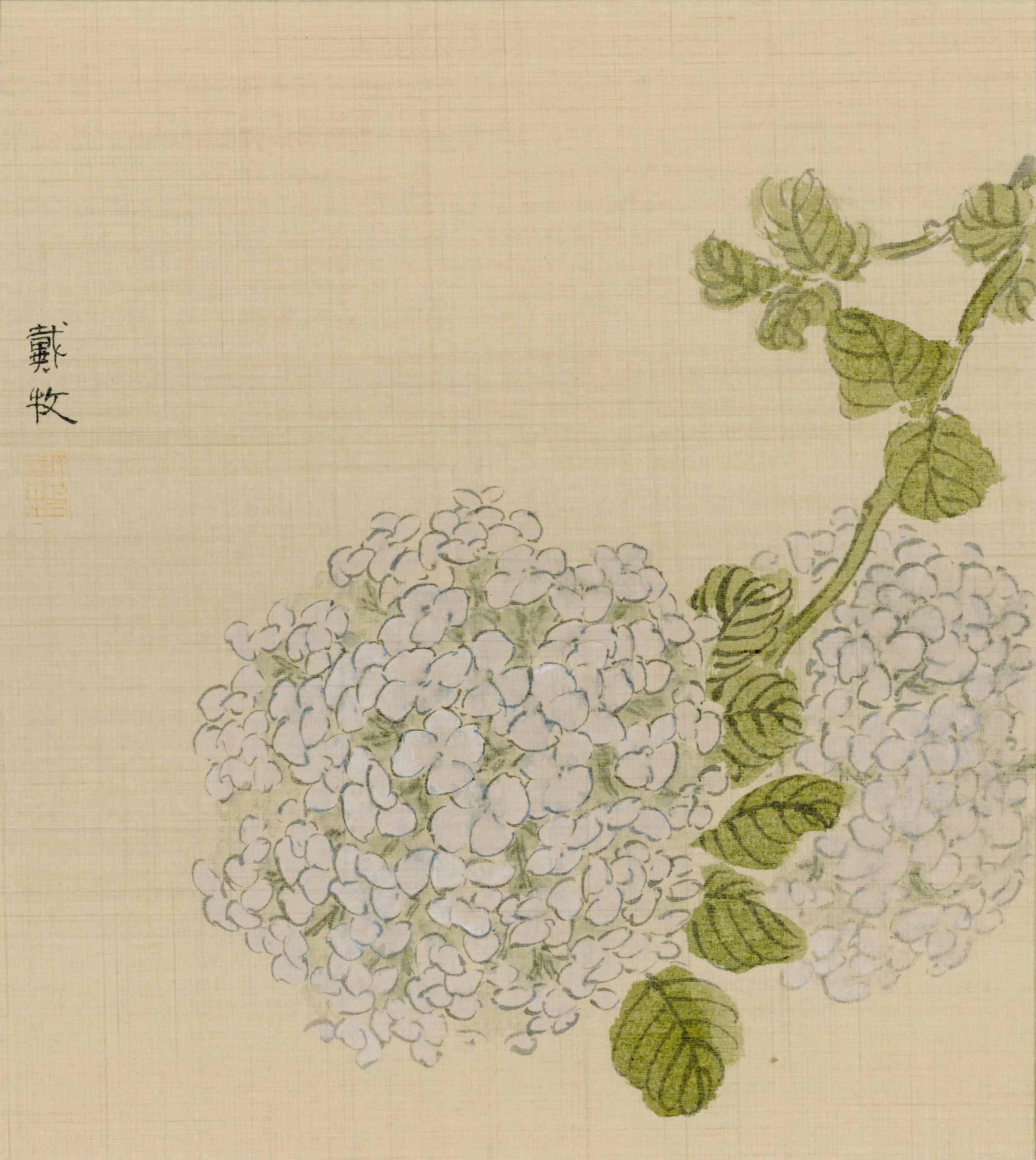 Fig.5 Dai Mu, Hydrangea, 2023
