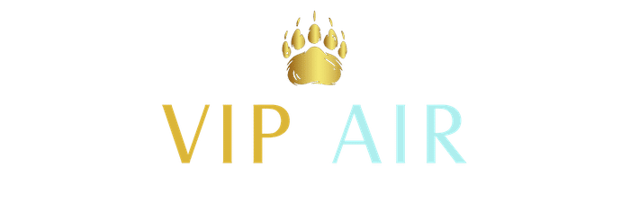 VIP Air Ibiza | Detailing Aeronáutico y Mantenimiento de Jets Privados y Helicópteros en Ibiza