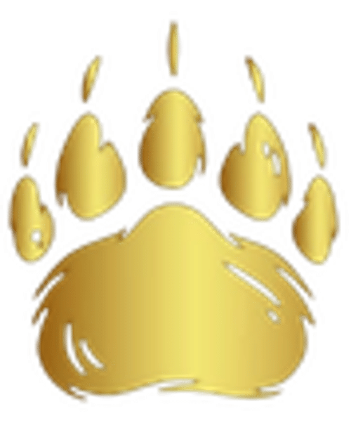 VIP Huella