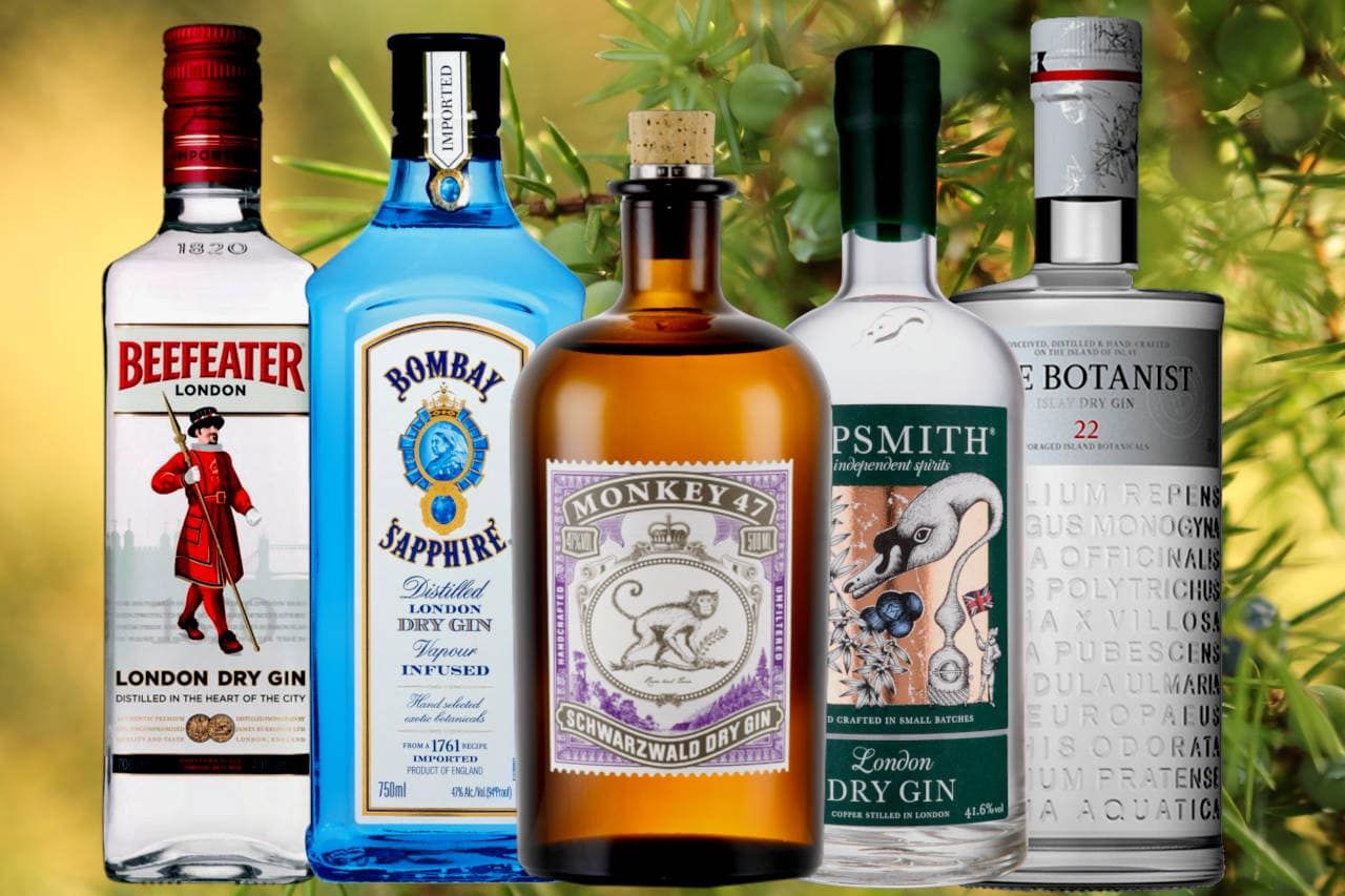 Best 16 Gin Brands In Kenya